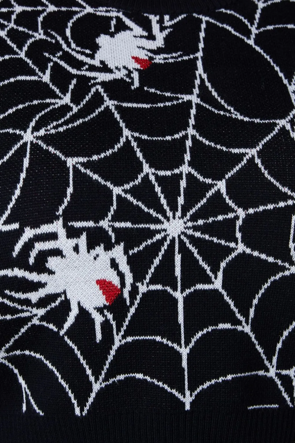 Curve Arachnid Knit