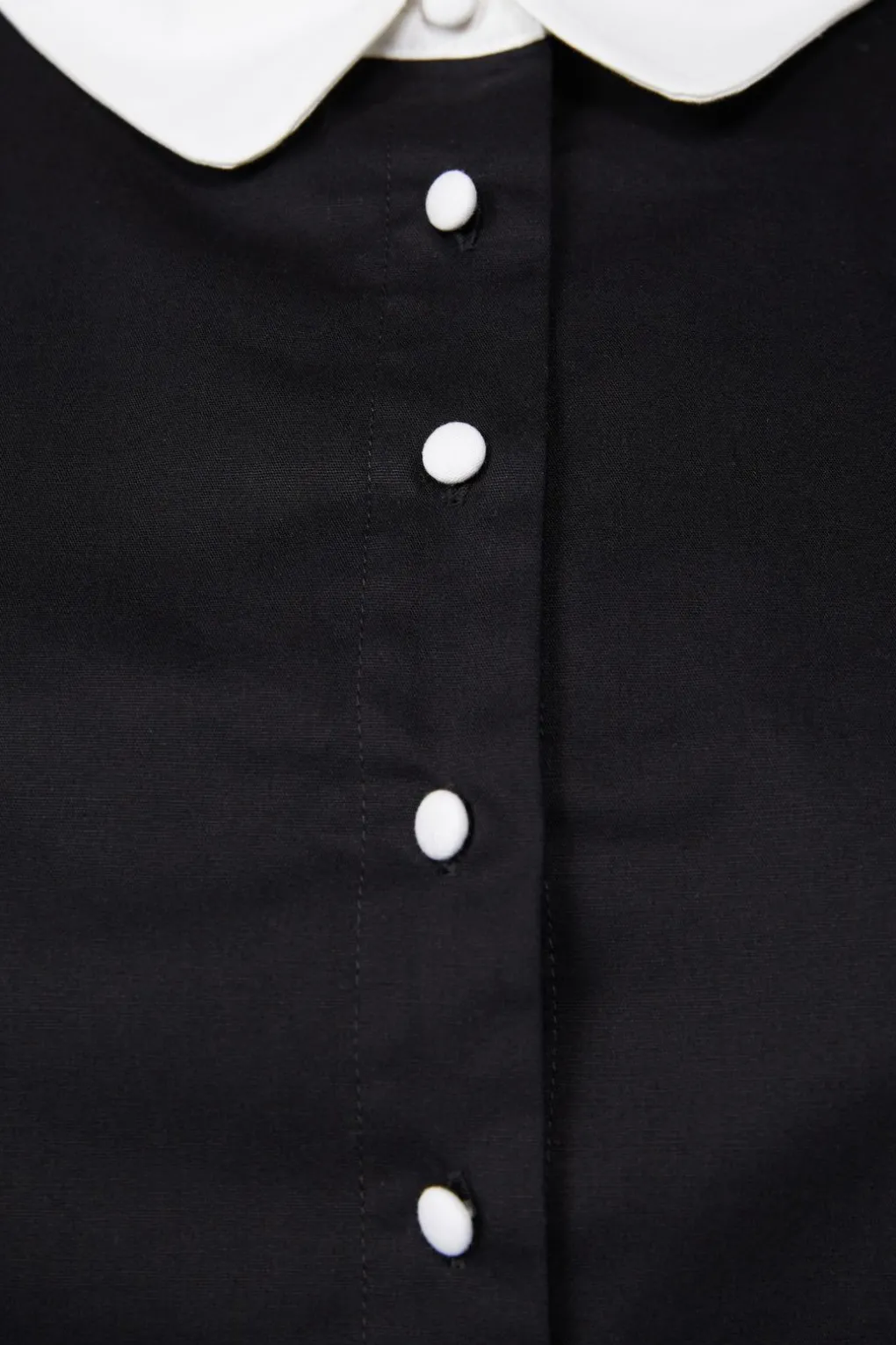 Curve Tweedledee Blouse