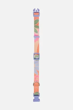 Donna Dog Collar M