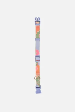 Donna Dog Collar S