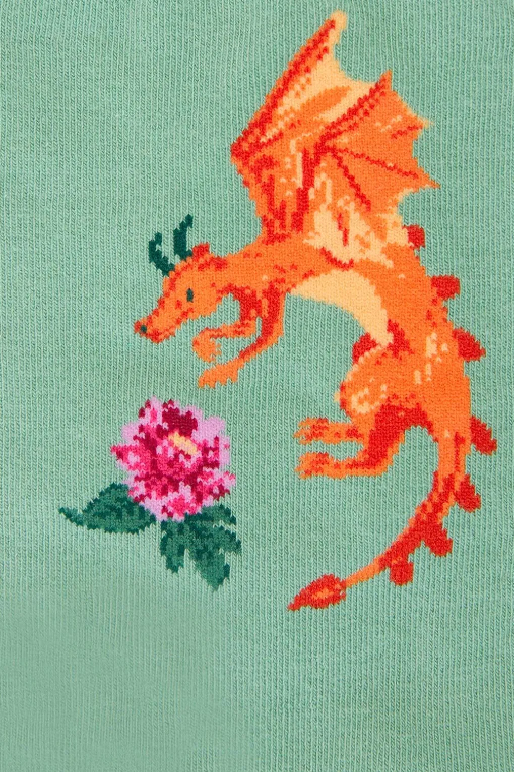 Dragon Socks