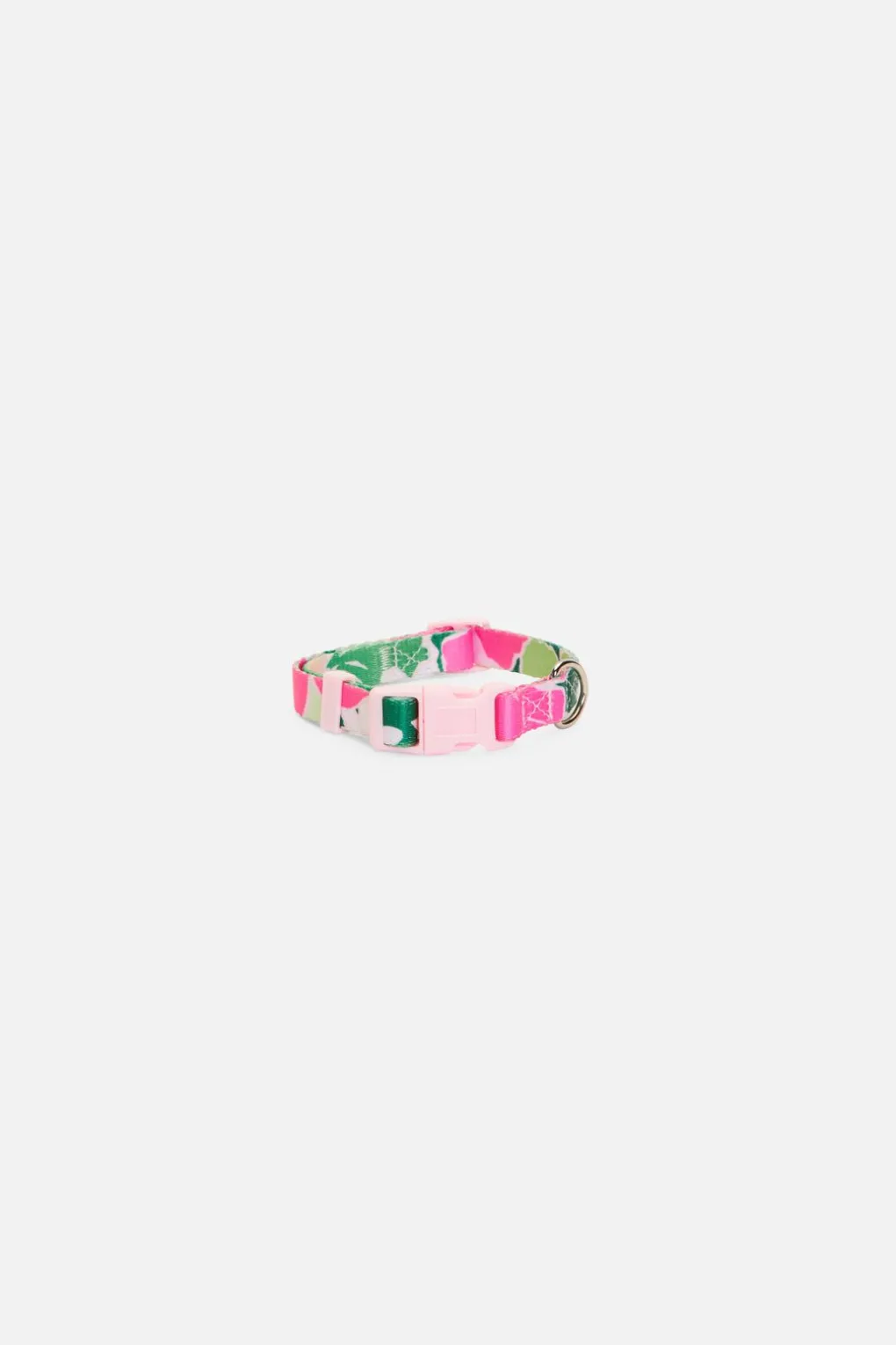 Edie Dog Collar S