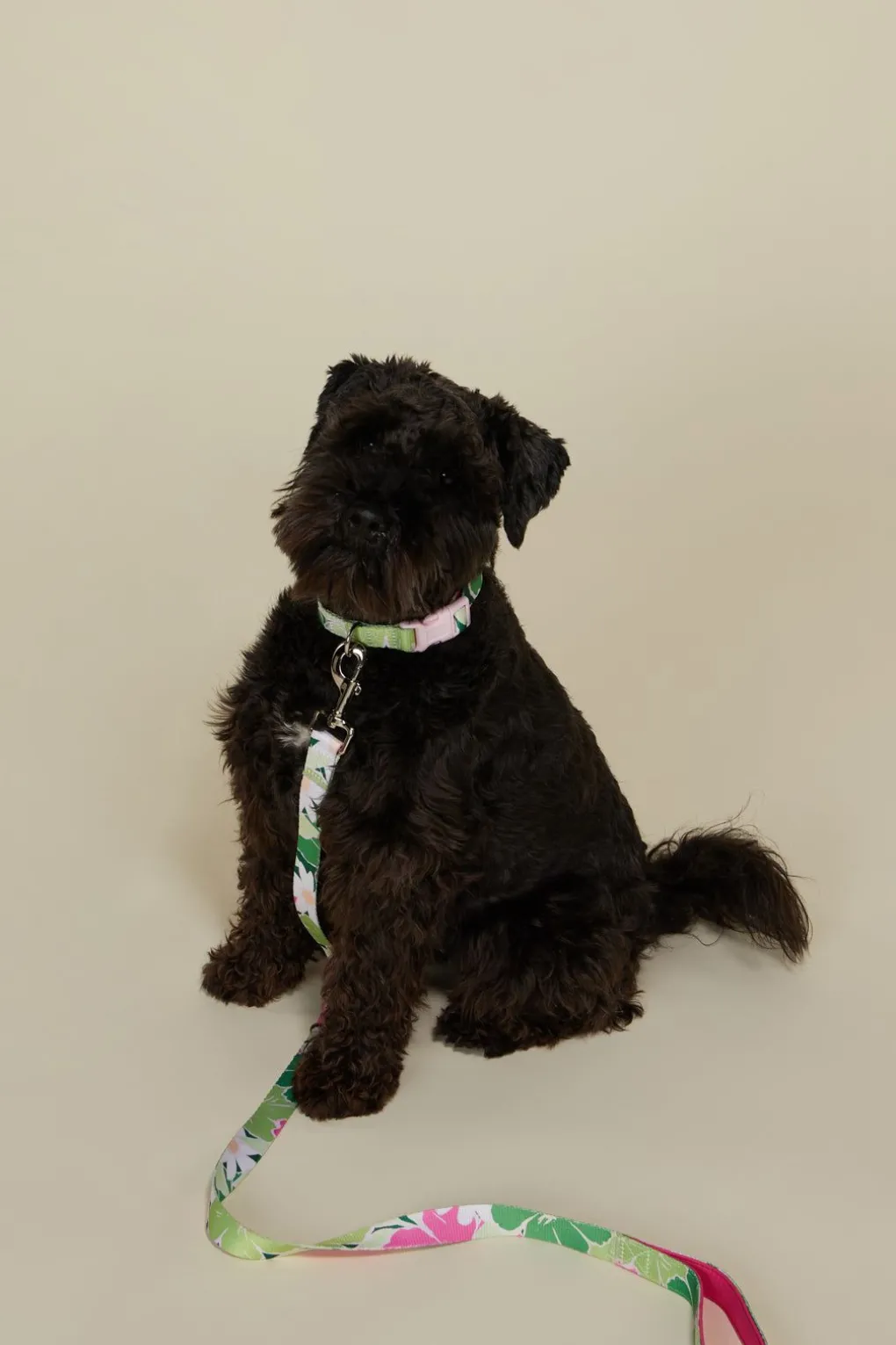 Edie Pet Lead L