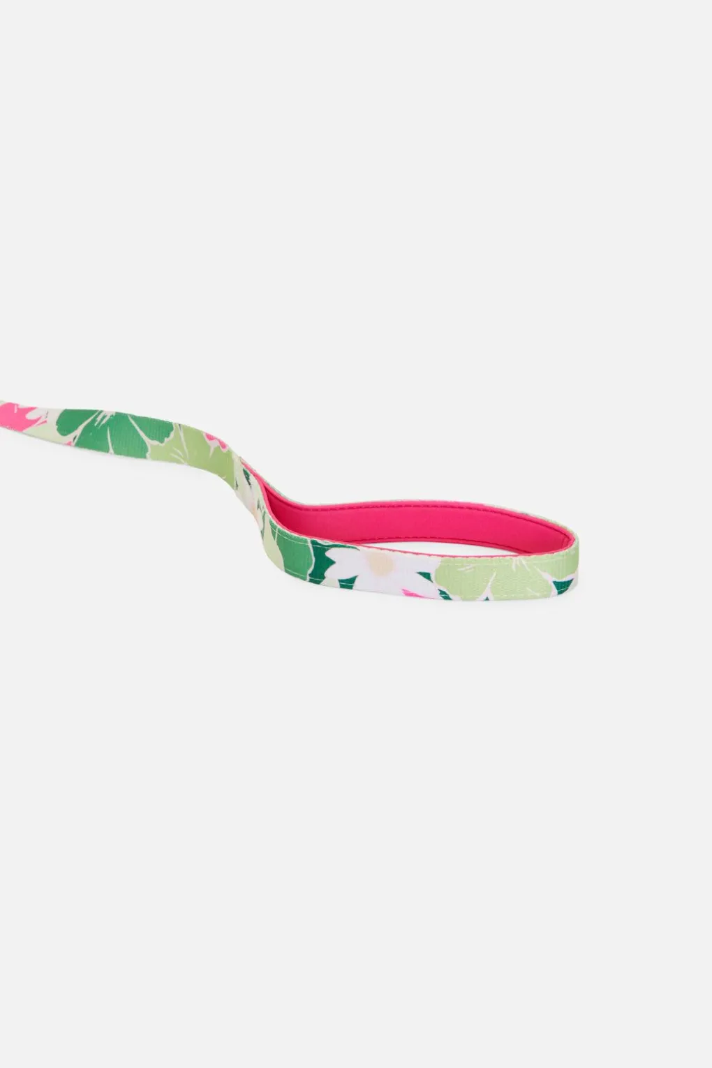 Edie Pet Lead L