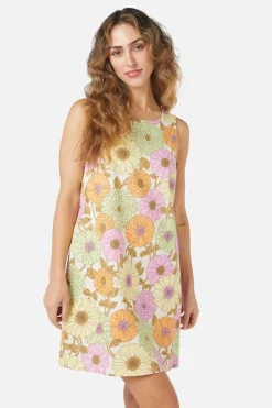 Lottie Shift Dress