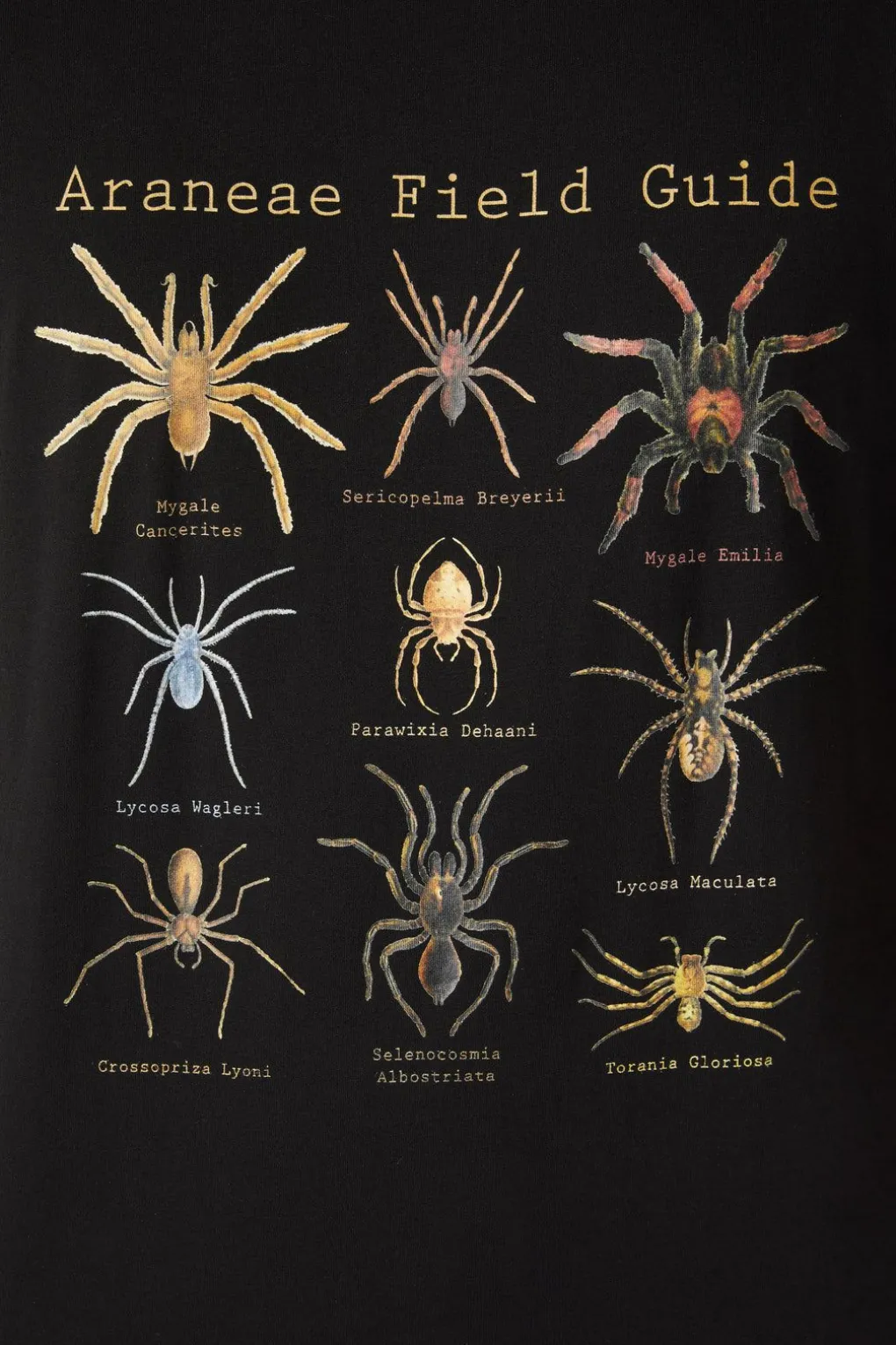 Scientific Spider Tee